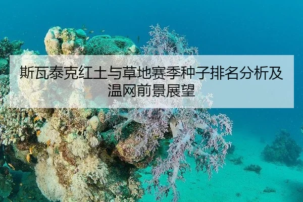 斯瓦泰克红土与草地赛季种子排名分析及温网前景展望